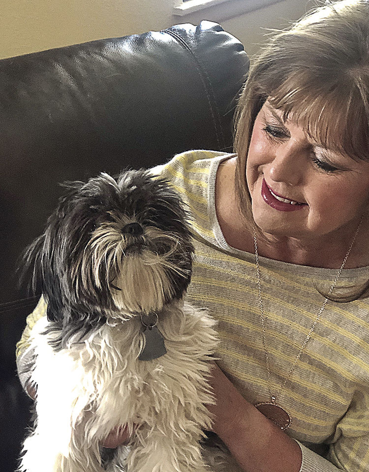 edu bobbie shih tzu.jpg
